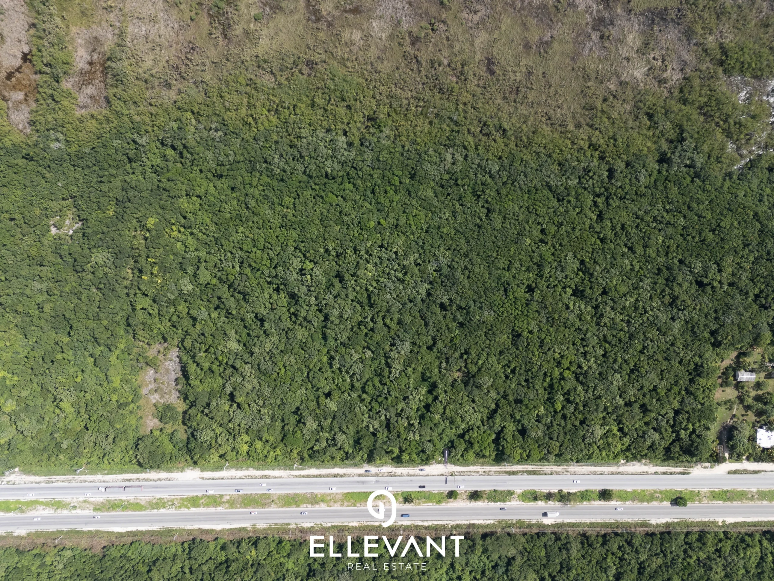 DJI_20241112120238_0229_D