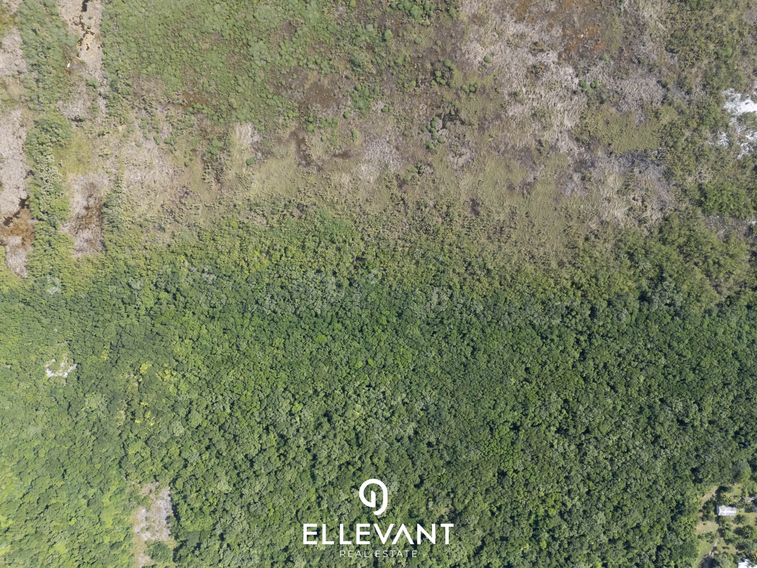 DJI_20241112120257_0230_D