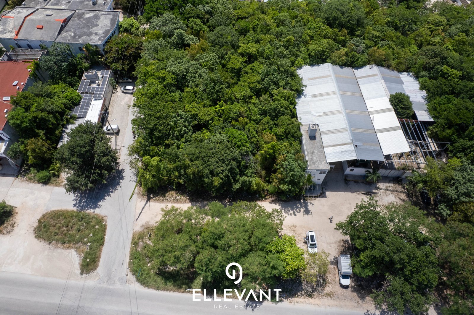 DJI_0081